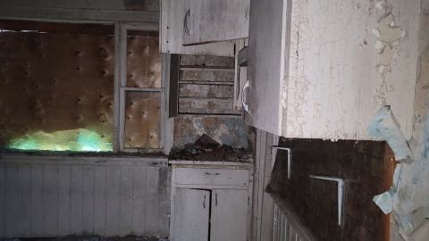 Heron-Dandie House - 20240623_183612.jpg