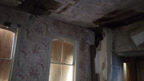 Heron-Dandie House - 20240623_183641.jpg