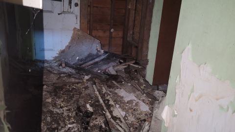 Heron-Dandie House - 20240623_183707.jpg