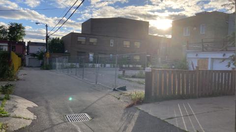 Another Exploration - IMG_2976.jpeg