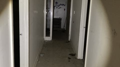 Another Exploration - IMG_2939.jpeg