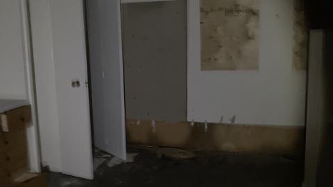 Another Exploration - IMG_2968.jpeg