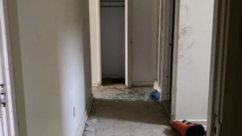 Another Exploration - IMG_2970.jpeg