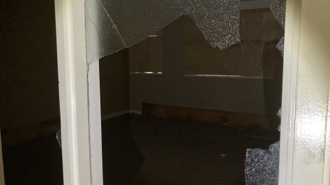 Another Exploration - IMG_2972.jpeg