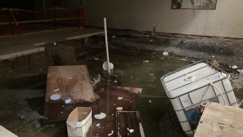 Another Exploration - IMG_2958.jpeg