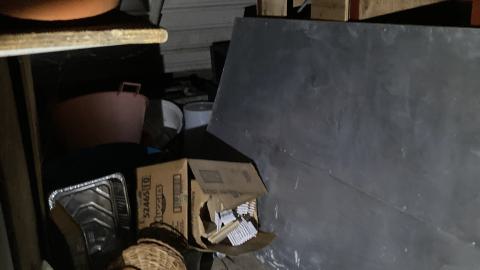 Another Exploration - IMG_2960.jpeg