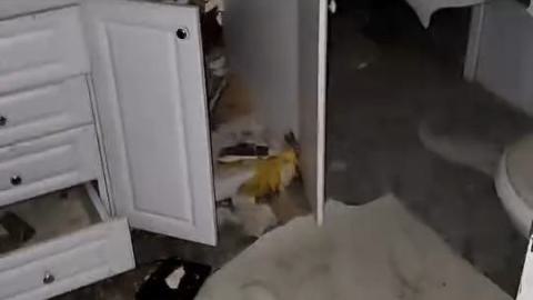 Photo from Eldorado abandoned house