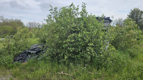 SawBus! - 20240626_161051.jpg