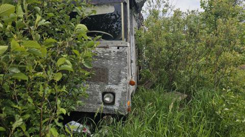 SawBus! - 20240626_161057.jpg