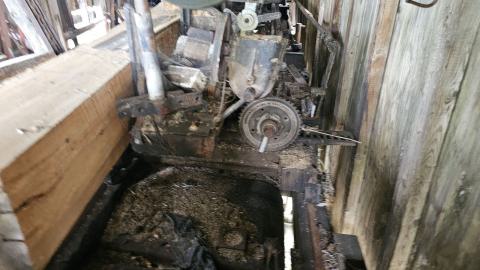 SawBus! - 20240626_161121.jpg