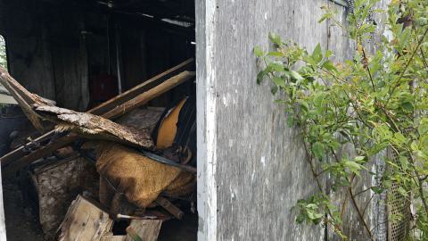 SawBus! - 20240626_161128.jpg