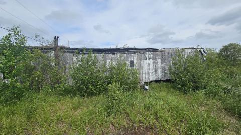 SawBus! - 20240626_161139.jpg