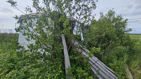 SawBus! - 20240626_161159.jpg