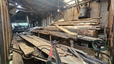 SawBus! - 20240626_161230.jpg