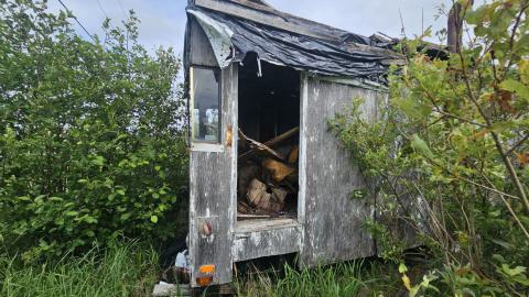 SawBus! - 20240626_161300.jpg