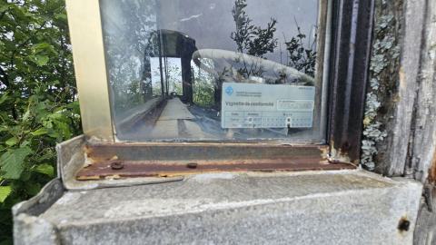 SawBus! - 20240626_161306.jpg