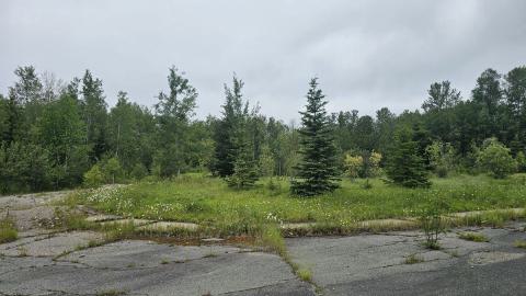 Ghost Town of Joutel - 20240626_105532.jpg