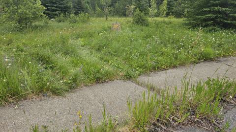 Ghost Town of Joutel - 20240626_105551.jpg