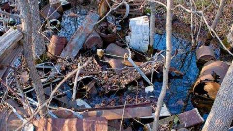 Gallery - Quinte-Conservation7.jpg