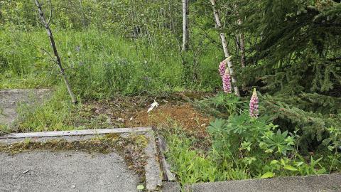 Ghost Town of Joutel - 20240626_105729.jpg