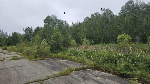 Ghost Town of Joutel - 20240626_105940.jpg