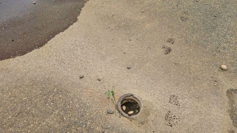 Ghost Town of Joutel - 20240626_110006(0).jpg