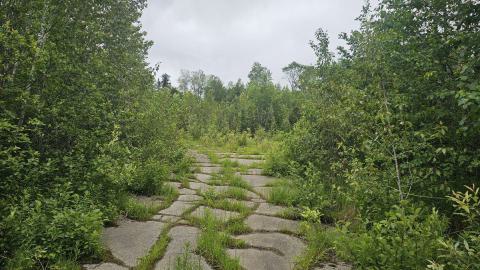 Ghost Town of Joutel - 20240626_110716.jpg