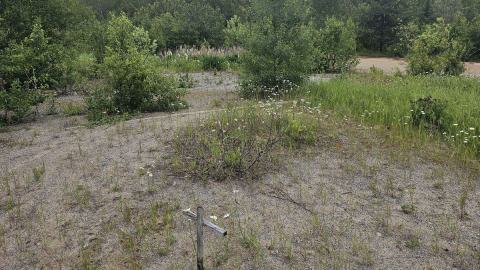 Ghost Town of Joutel - 20240626_111237.jpg