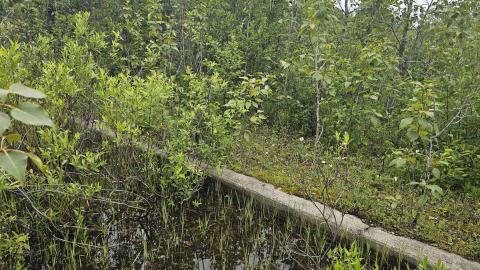 Ghost Town of Joutel - 20240626_112909.jpg