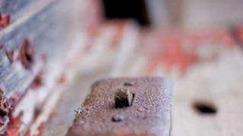 Gallery - Quinte-Conservation8.jpg