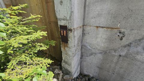 Langmuir Mine - A tower in the swamp - 20240627_163726.jpg