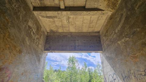 Langmuir Mine - A tower in the swamp - 20240627_163839.jpg