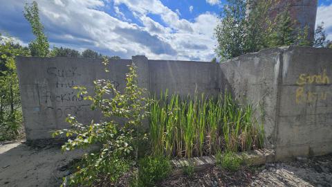 Langmuir Mine - A tower in the swamp - 20240627_164043.jpg