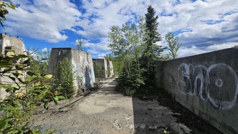 Langmuir Mine - A tower in the swamp - 20240627_164113.jpg