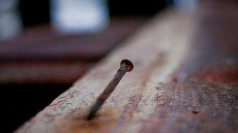 Gallery - Quinte-Conservation9.jpg