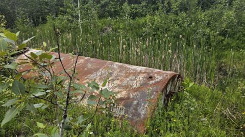 Langmuir Mine - A tower in the swamp - 20240627_170410.jpg