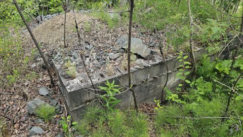 Langmuir Mine - A tower in the swamp - 20240627_170542.jpg