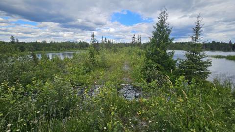 Langmuir Mine - A tower in the swamp - 20240627_170958.jpg