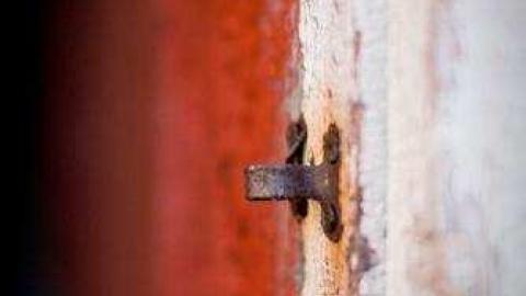 Gallery - Quinte-Conservation10.jpg