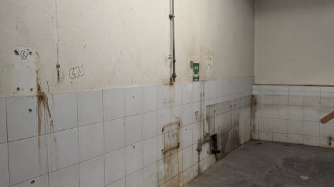 Scrappers in Heaven - PXL_20240629_002650964.jpg