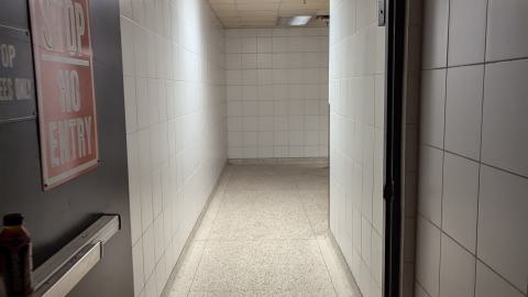 Scrappers in Heaven - PXL_20240629_002717661.jpg