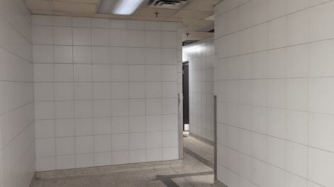 Scrappers in Heaven - PXL_20240629_002722033.jpg