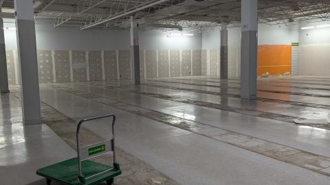 Scrappers in Heaven - PXL_20240629_003842346.jpg