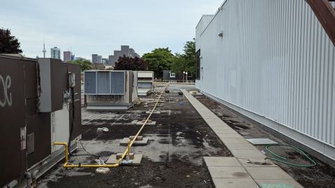 Scrappers in Heaven - PXL_20240629_004551594.jpg