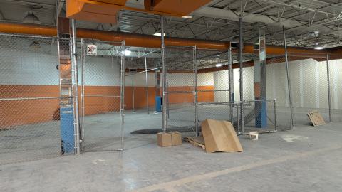 Scrappers in Heaven - PXL_20240629_002239150.jpg