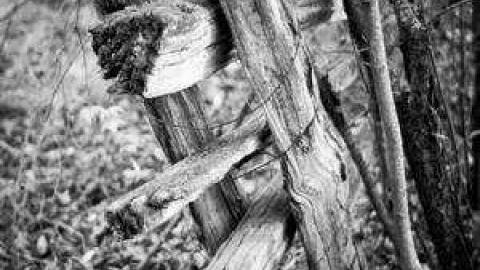 Gallery - Quinte-Conservation12.jpg