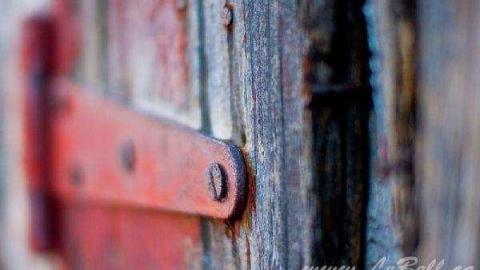 Gallery - Quinte-Conservation13.jpg