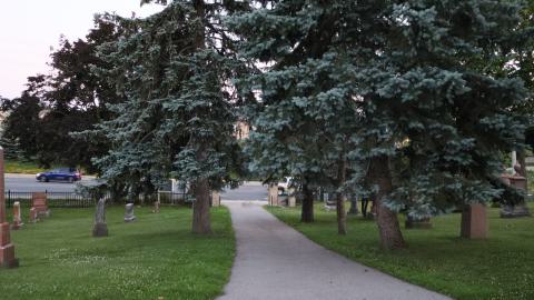 Canada Day - IMG_0233.JPG