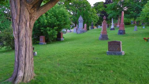 Canada Day - IMG_0245.JPG