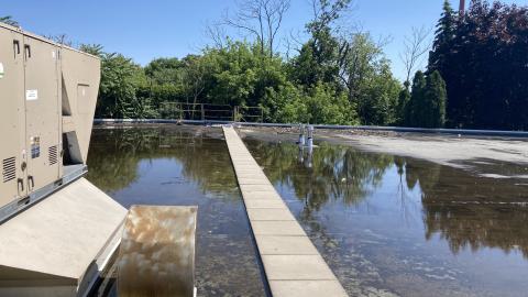 Nearly Emptied - IMG_3026.jpeg